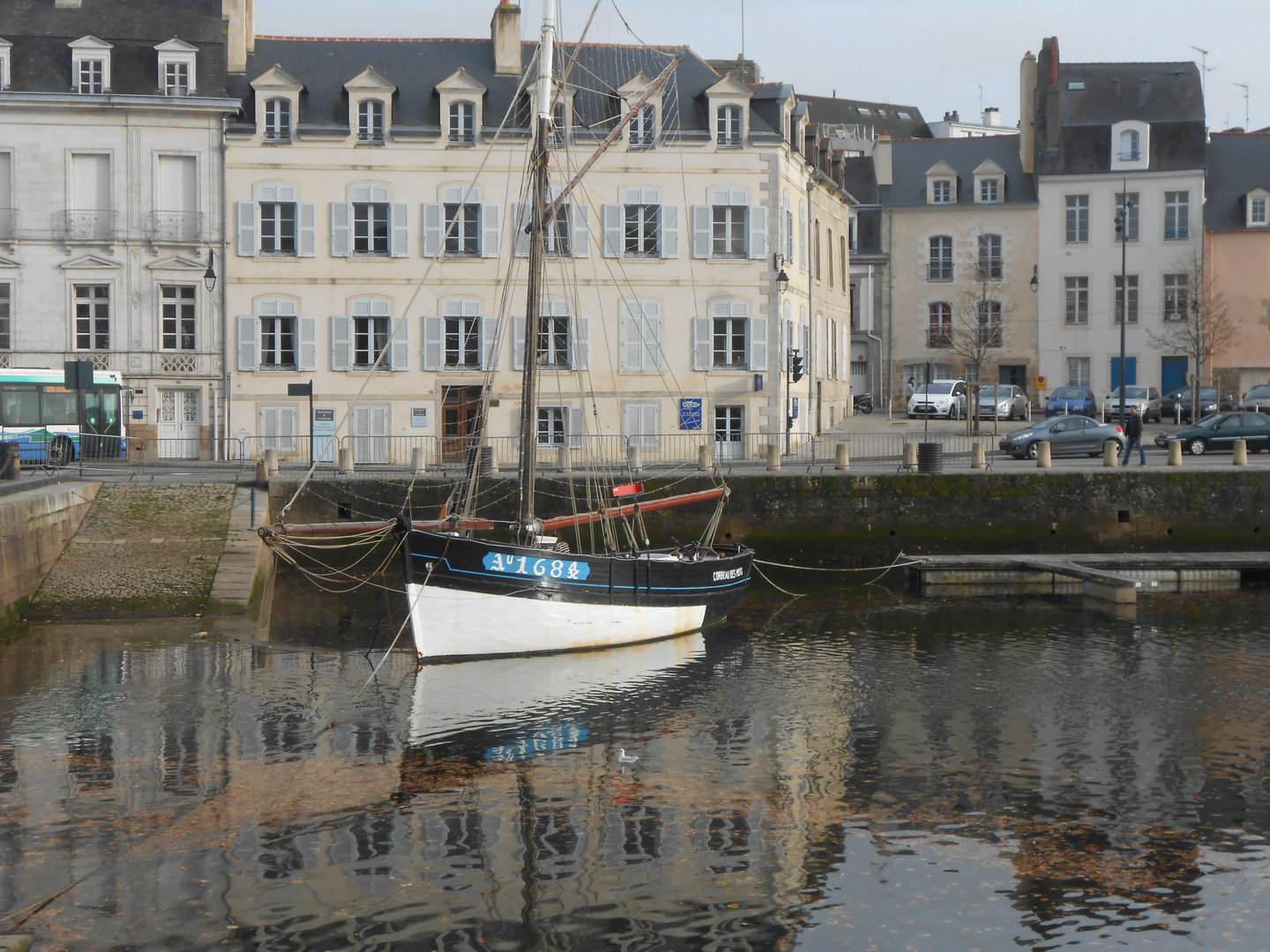 Le corbeau des mers