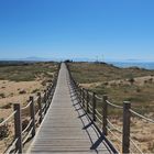 Le cordon dunaire et accès aux plages à Labenne