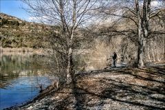 Le coté sauvage du Lac 