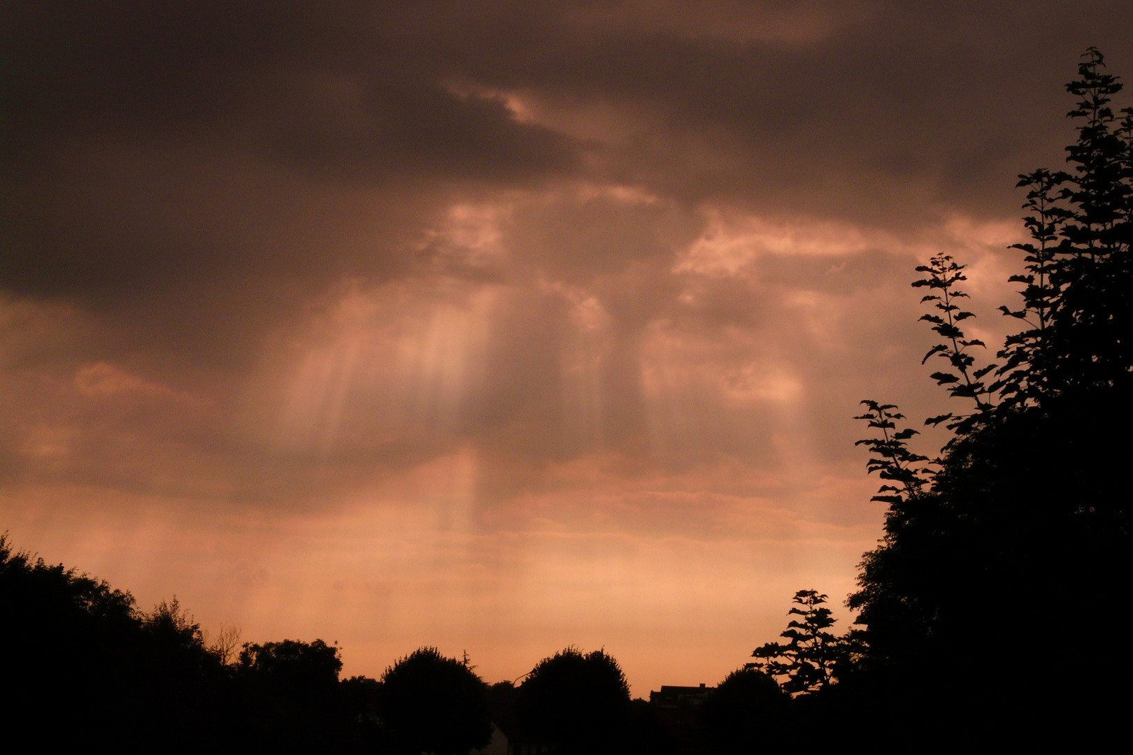 LE CREPUSCULE DES DIEUX