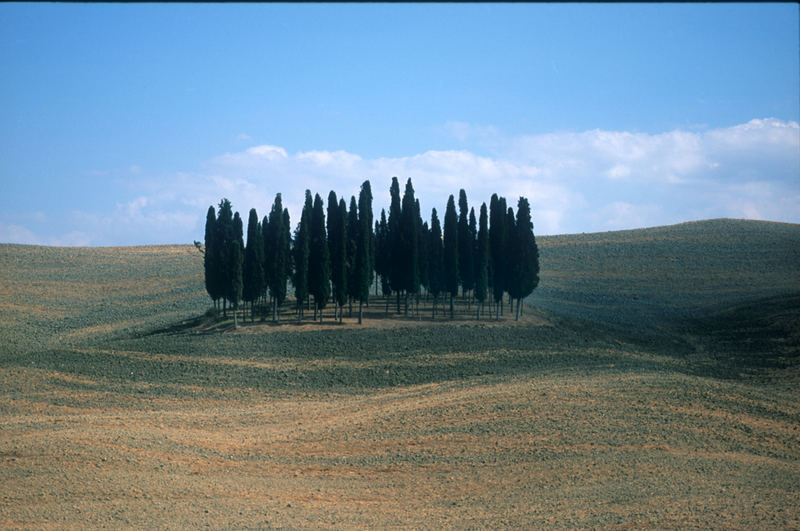 LE CRETE DI SIENA