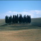 LE CRETE DI SIENA