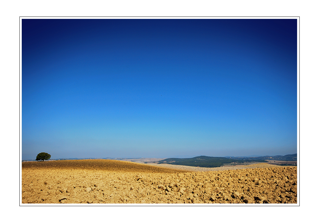 Le Crete Senesi