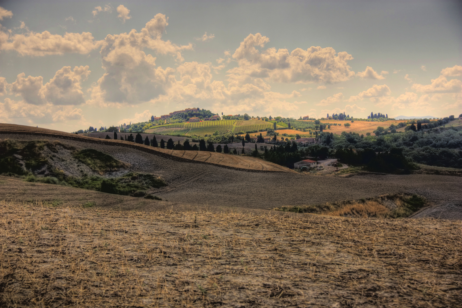 Le Crete Senesi