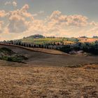 Le Crete Senesi