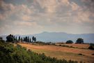 ES: Le Crete Senesi. von Francisco Lledó Jornet. 