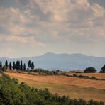 Le Crete Senesi.