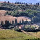 Le Crete Senesi.