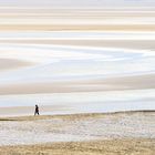 Le Crotoy Baie de Somme.