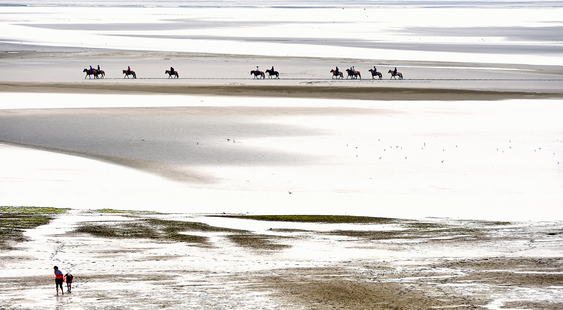 Le Crotoy Baie de Somme. Suite