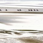 Le Crotoy Baie de Somme. Suite