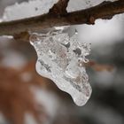 Le curiose forme del ghiaccio