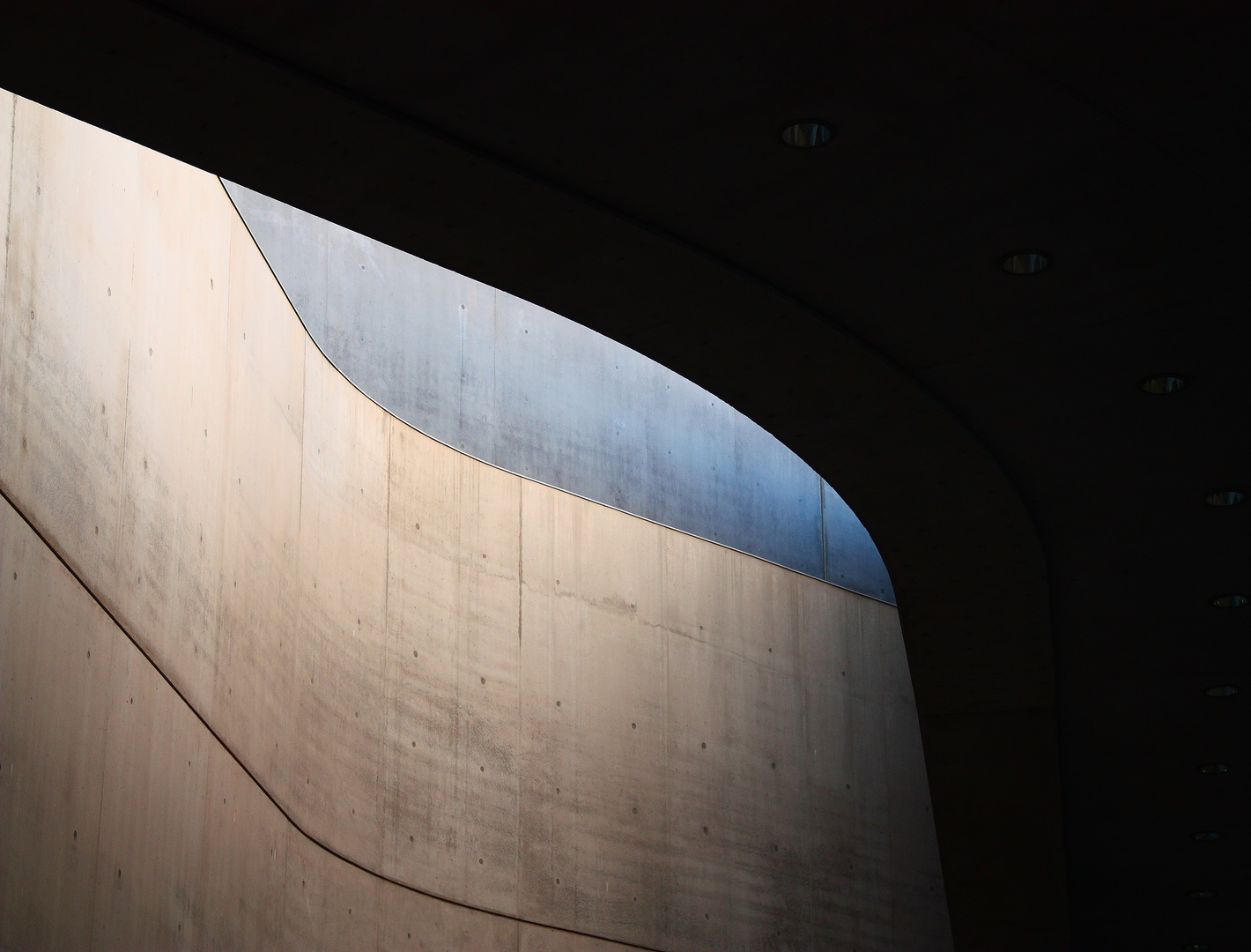 Le curve del Maxxi