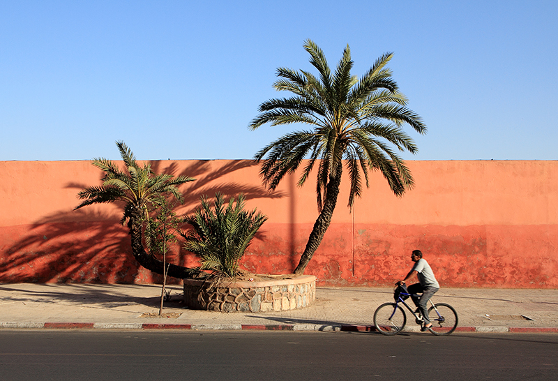 Le cycliste