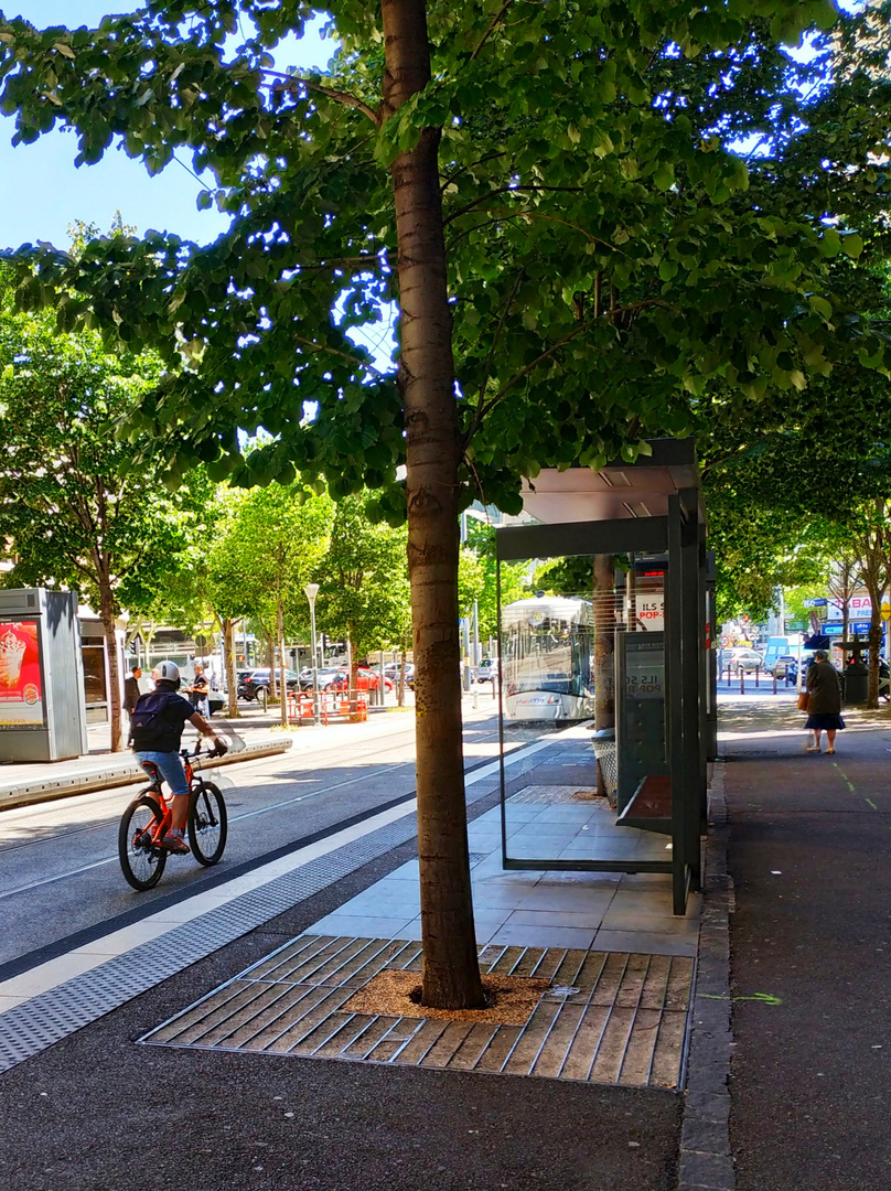 Le cycliste