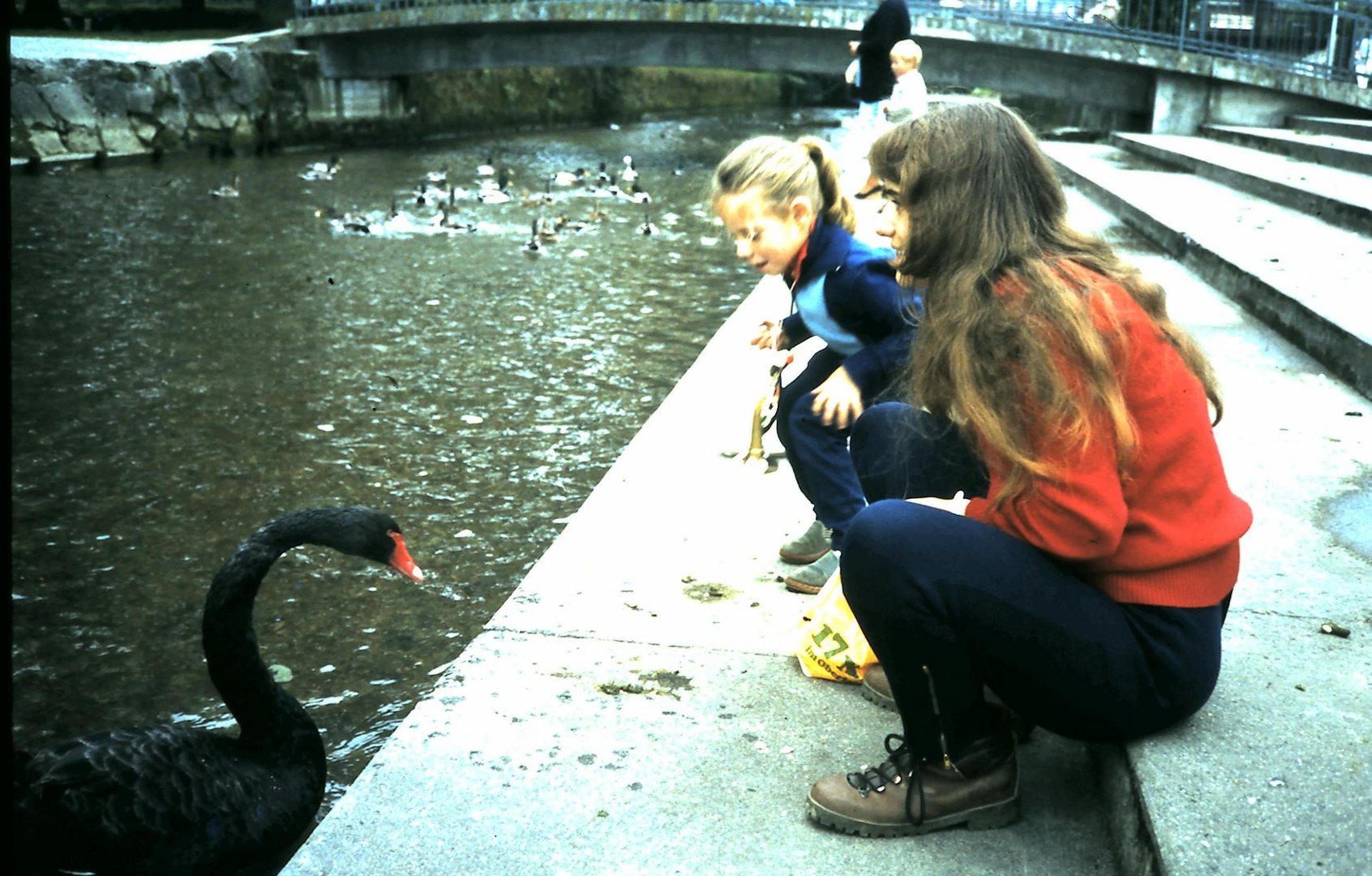 Le cygne noir