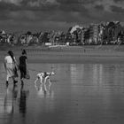 Le dalmatien de St.Malo