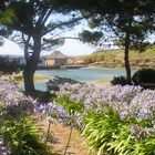 île de Bréhat - vue sur le moulin.