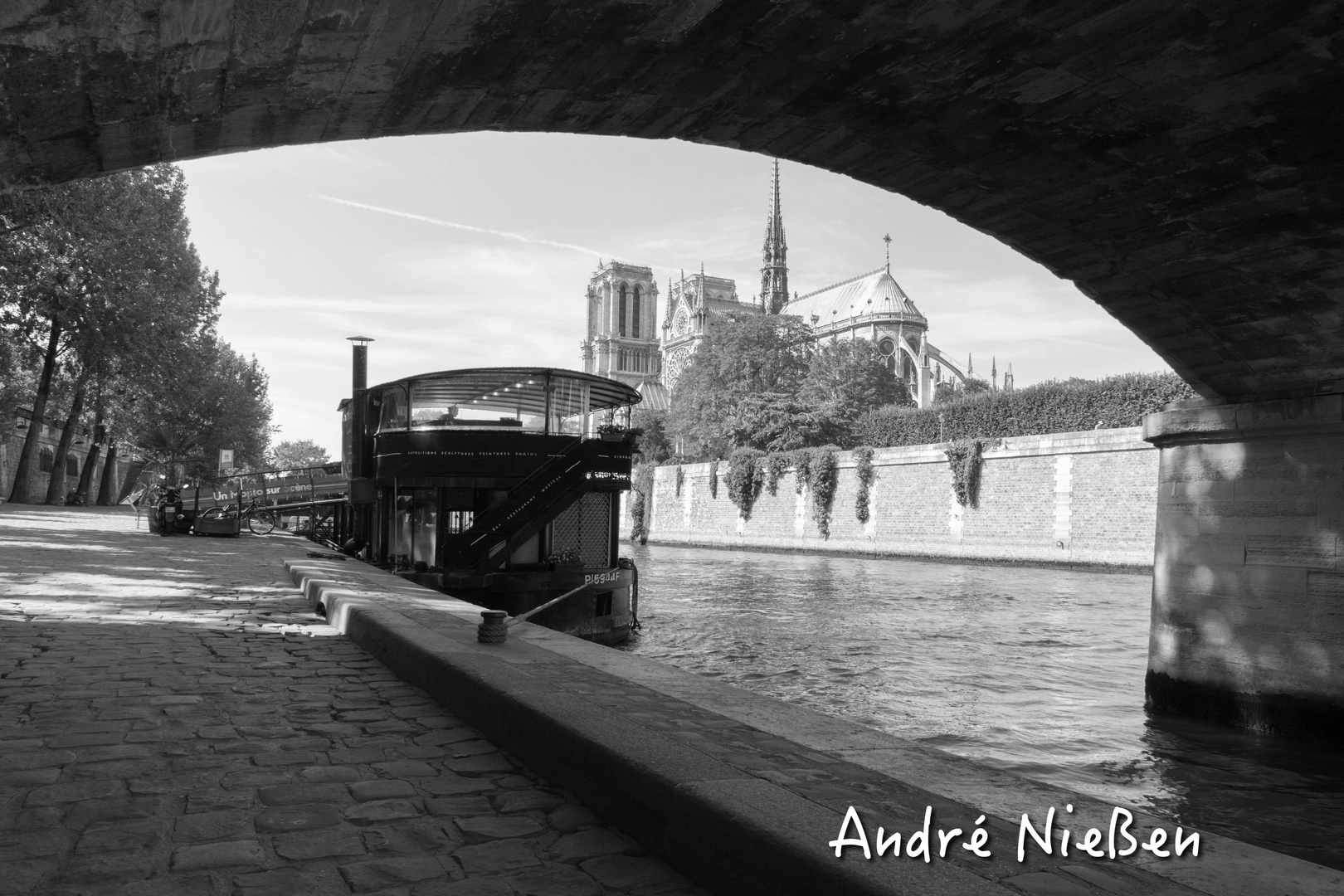 Île de la Cité Notro Dame