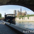 Île de la Cité Notro Dame in Farbe