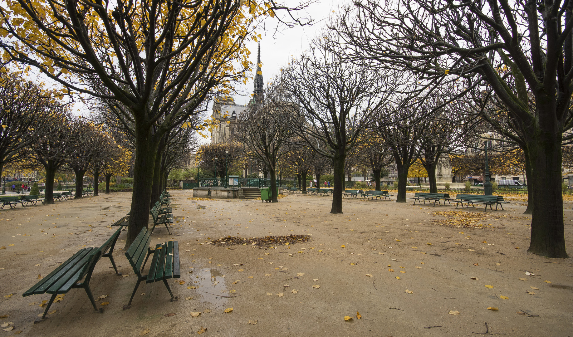 Île de la Cité - Square Jean XXIII - Notre Dame - 03