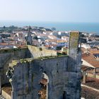 île de Ré, une merveille !