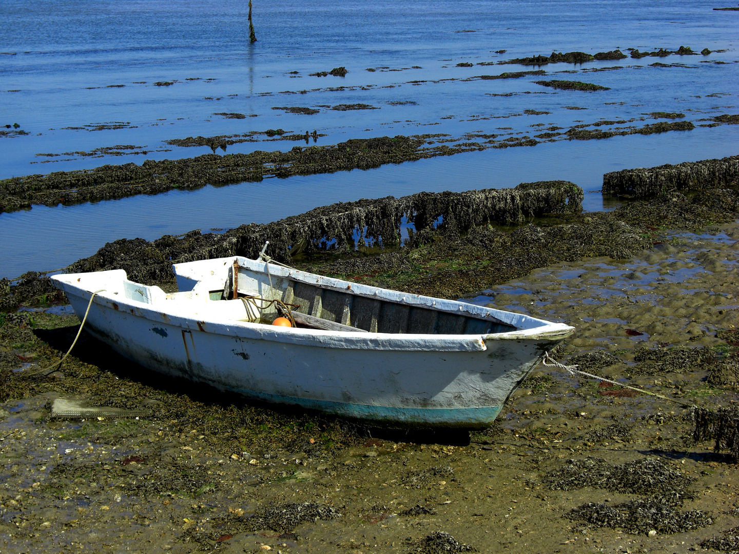 Île de Saint-Cado