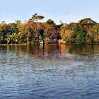 île de Tortuguero