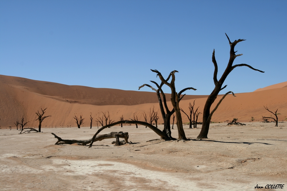 Le DEAD VLEI