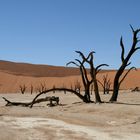 Le DEAD VLEI