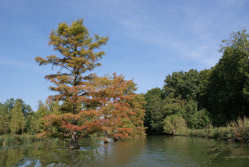 Le début de l'automne