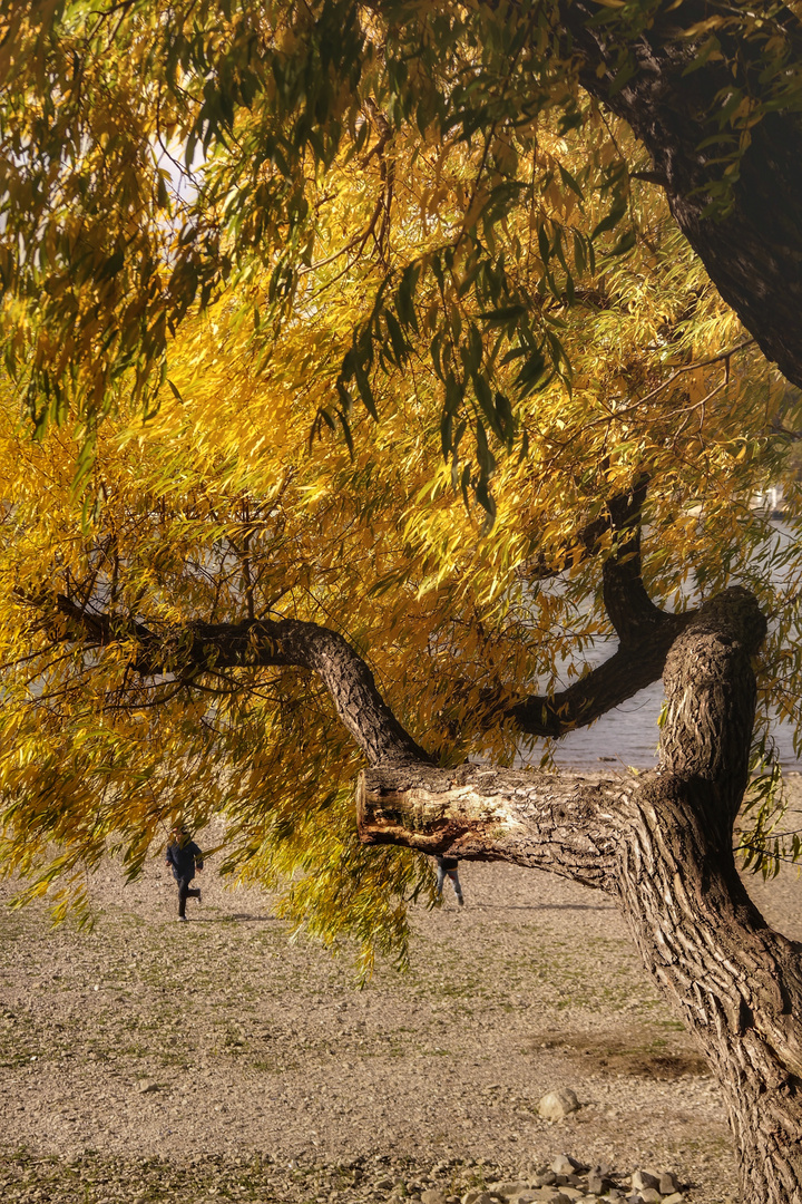 Le début de l'automne ou l'eau manquante