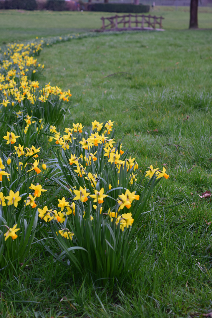 Le début du printemps