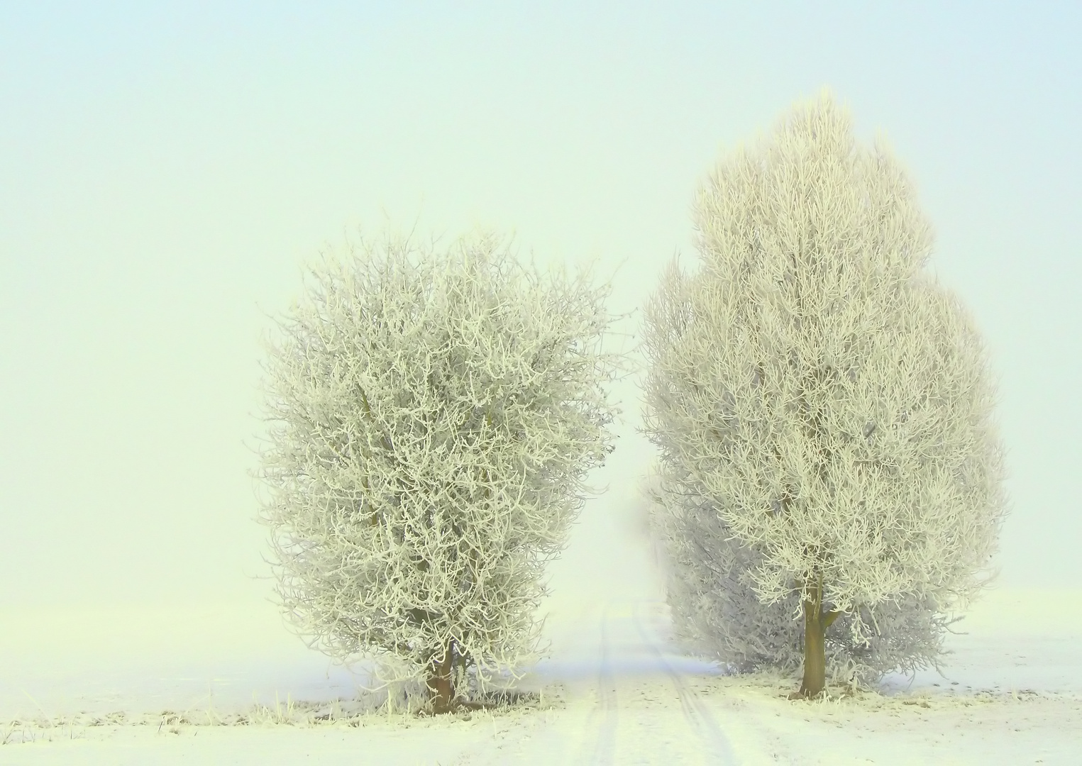 Le début d´un long chemin........