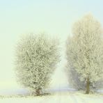 Le début d´un long chemin........