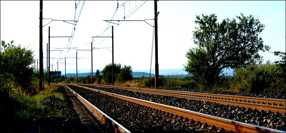 Le début d'un long chemin ...