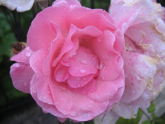 Le début et la fin...