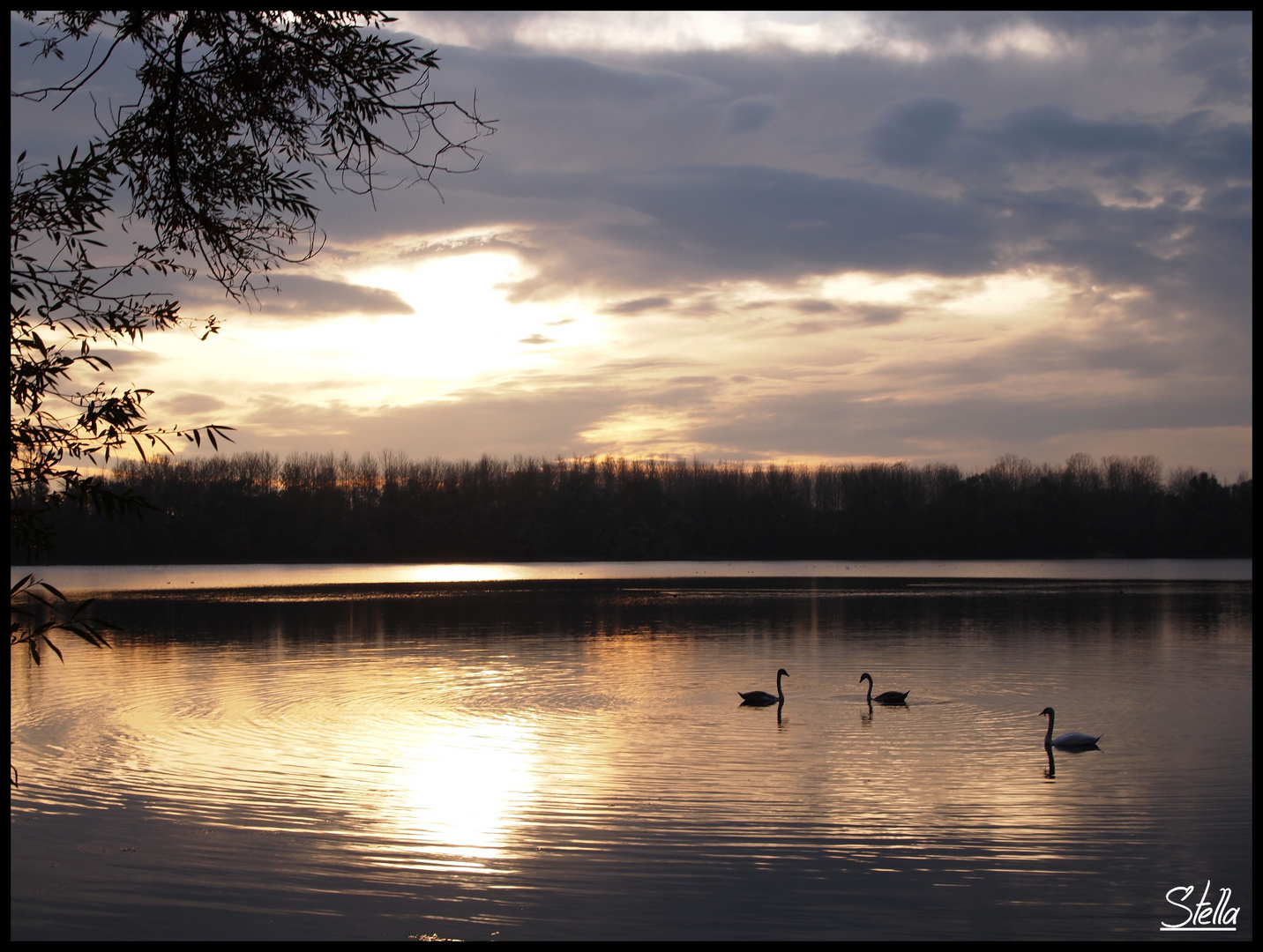 Le Delta de la Sauer