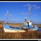 le dernier sardinier breton agonise...