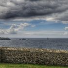 Le dernier vert ....... dans le Finistère