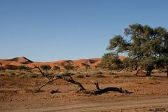 Le désert du Namib