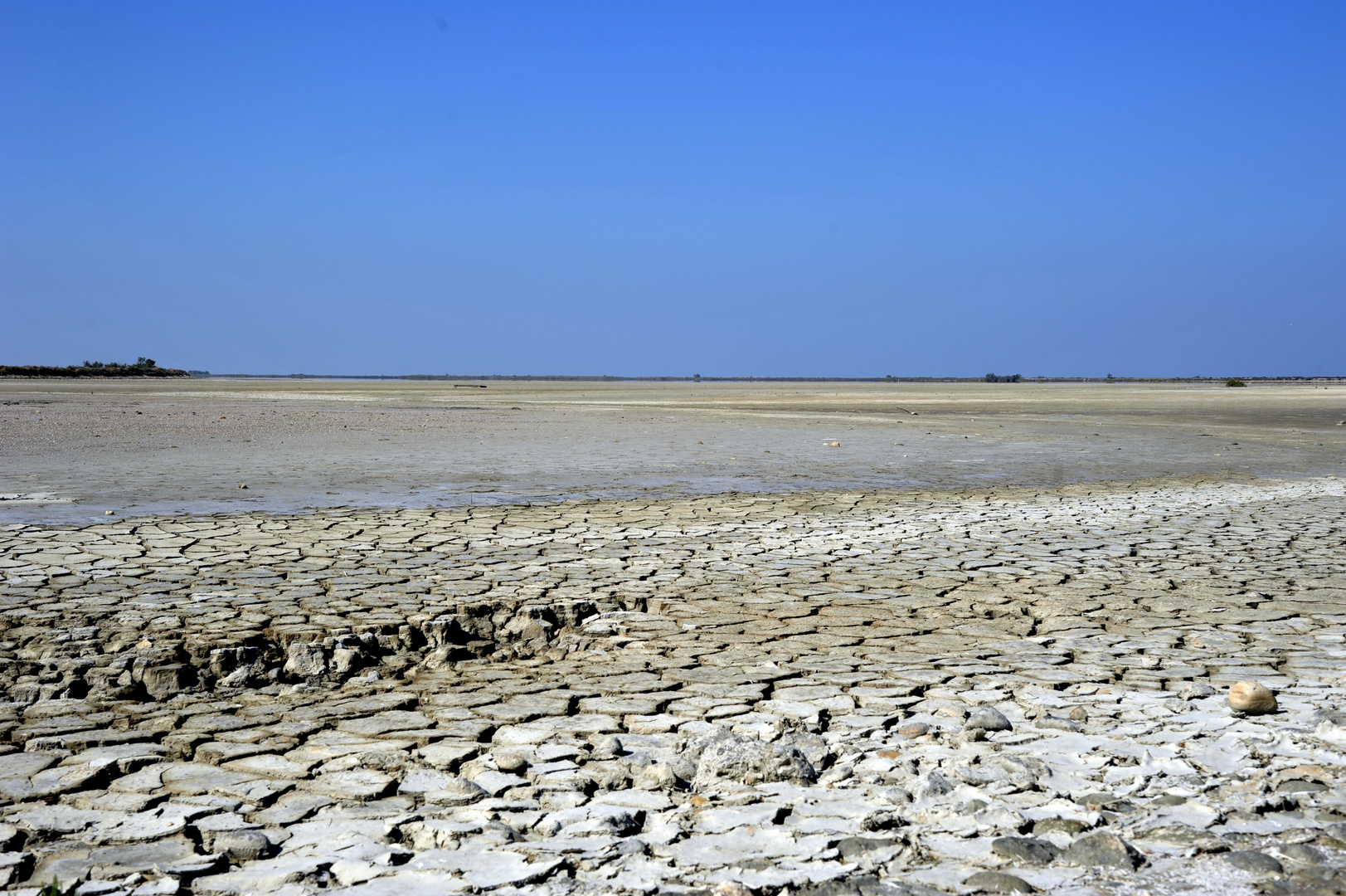 Le désert non la Camargue