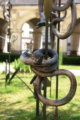 Le désespoir des singes (1)