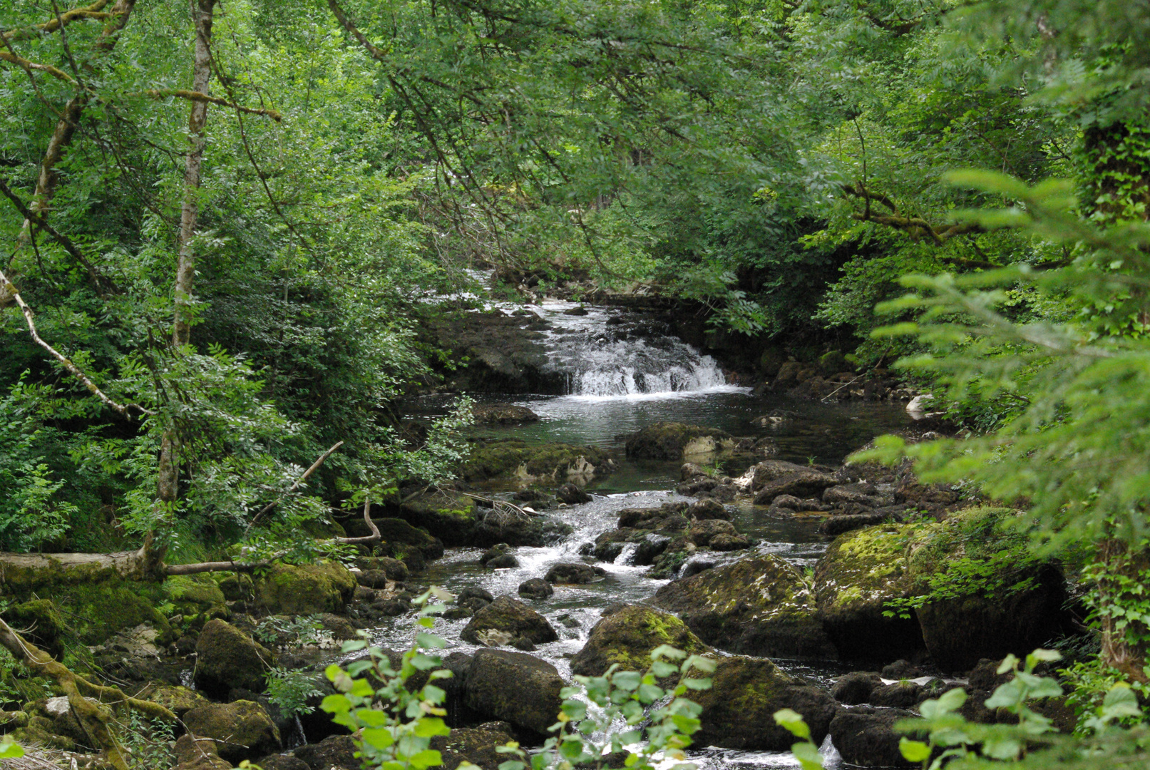 Le Dessoubre (Doubs)