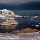 Le Diamant dans Neko Harbour, détroit de Gerlache, péninsule Antarctique.