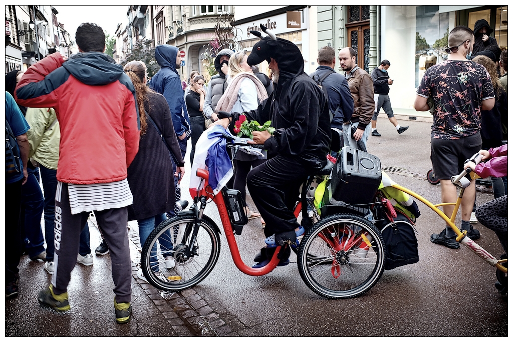 le distributeur de roses