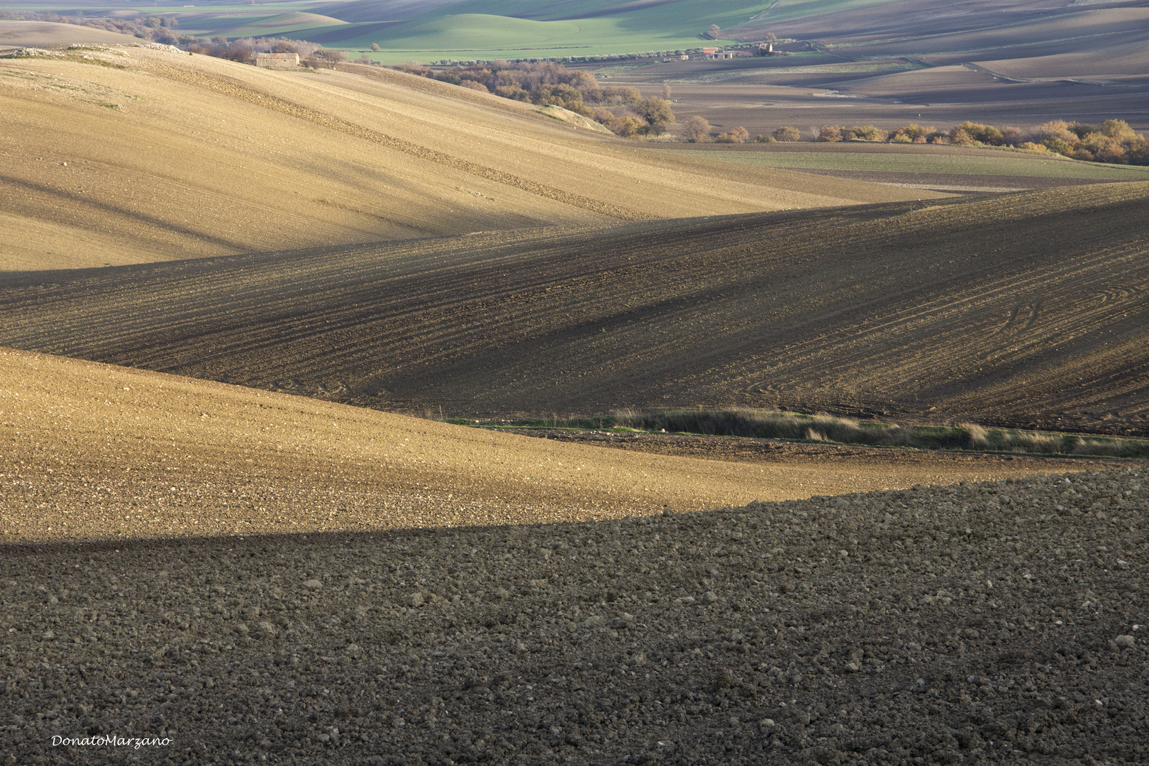 Le dolci colline di Puglia