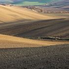 Le dolci colline di Puglia