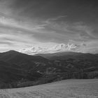 Le dolci colline emiliane