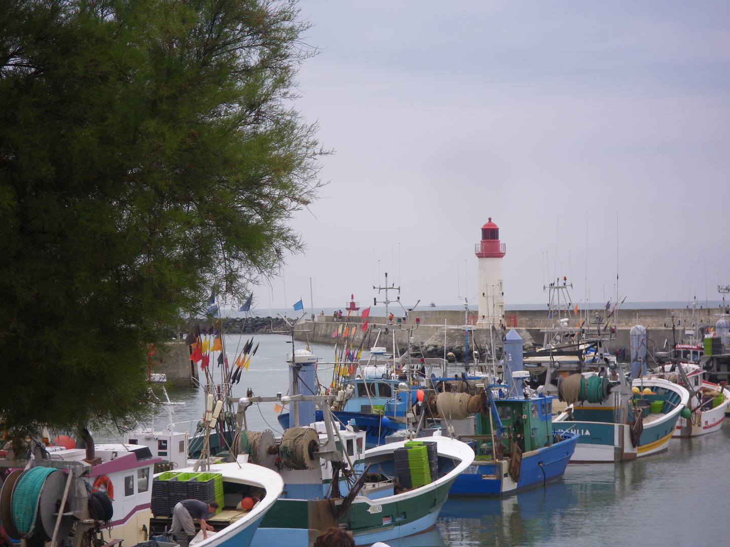 île d'oléron, la cotinière 2